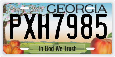 GA license plate PXH7985