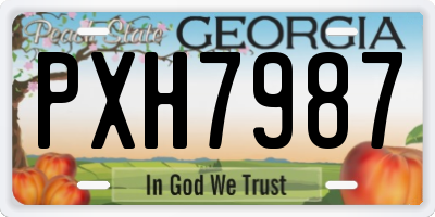 GA license plate PXH7987