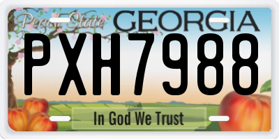 GA license plate PXH7988
