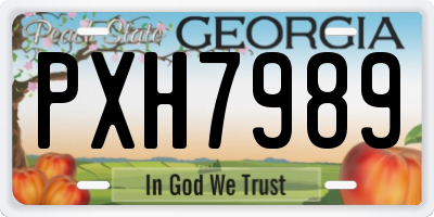 GA license plate PXH7989