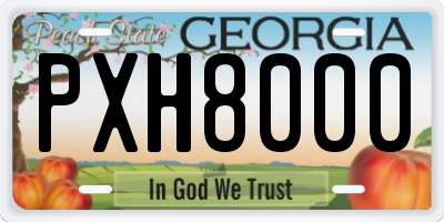 GA license plate PXH8000