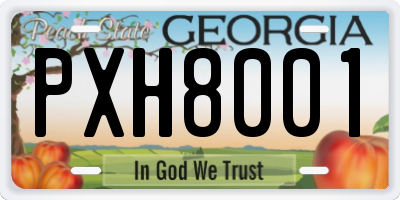 GA license plate PXH8001
