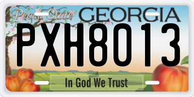 GA license plate PXH8013