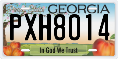 GA license plate PXH8014