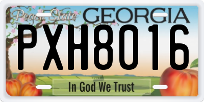 GA license plate PXH8016