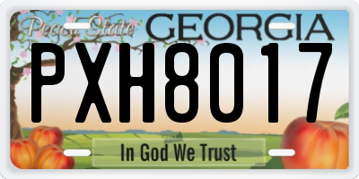 GA license plate PXH8017