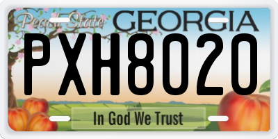 GA license plate PXH8020