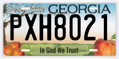 GA license plate PXH8021