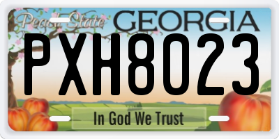 GA license plate PXH8023