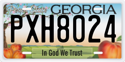 GA license plate PXH8024