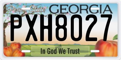 GA license plate PXH8027