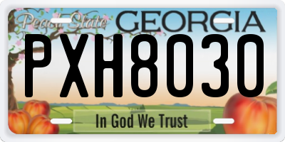 GA license plate PXH8030