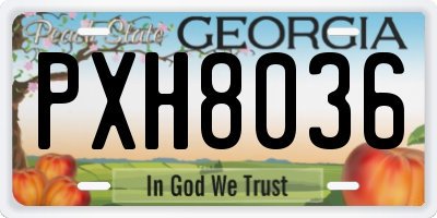 GA license plate PXH8036