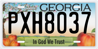 GA license plate PXH8037