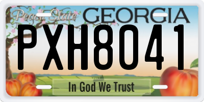 GA license plate PXH8041