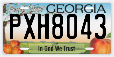 GA license plate PXH8043