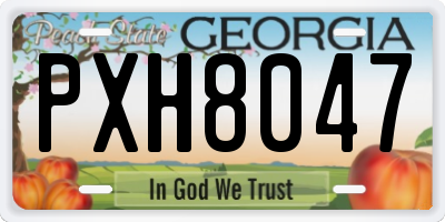 GA license plate PXH8047