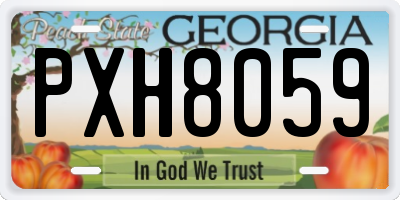 GA license plate PXH8059