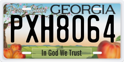 GA license plate PXH8064