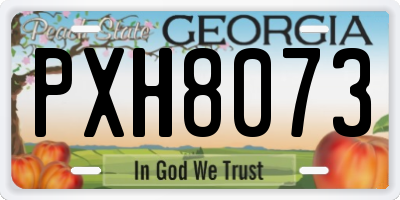 GA license plate PXH8073