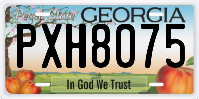 GA license plate PXH8075