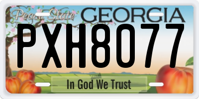 GA license plate PXH8077