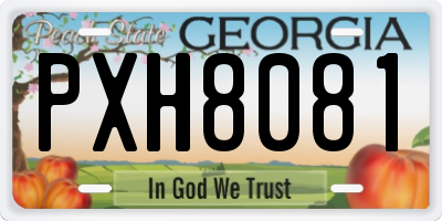 GA license plate PXH8081