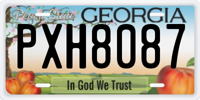 GA license plate PXH8087