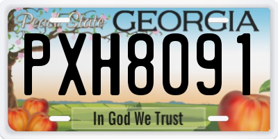 GA license plate PXH8091