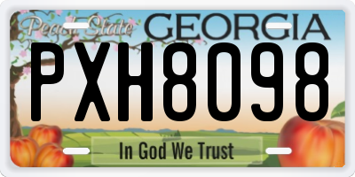 GA license plate PXH8098
