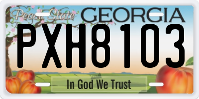 GA license plate PXH8103