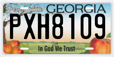 GA license plate PXH8109