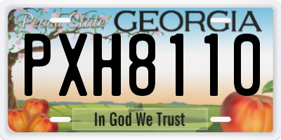 GA license plate PXH8110