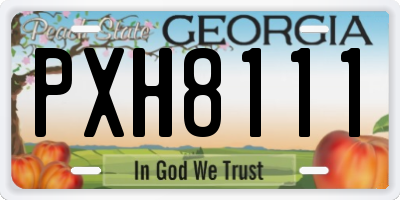 GA license plate PXH8111