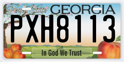 GA license plate PXH8113