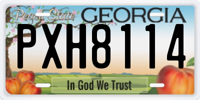 GA license plate PXH8114