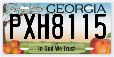 GA license plate PXH8115