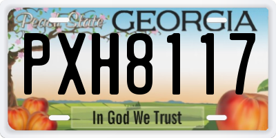 GA license plate PXH8117