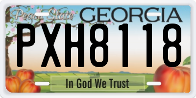 GA license plate PXH8118