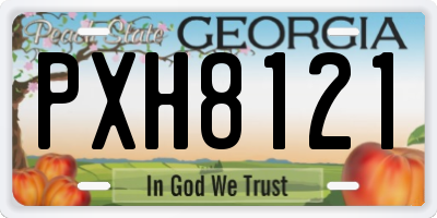 GA license plate PXH8121