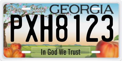 GA license plate PXH8123