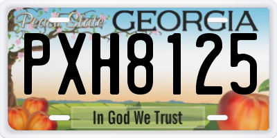 GA license plate PXH8125