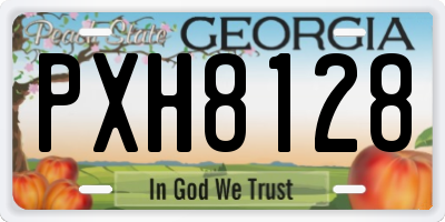 GA license plate PXH8128