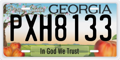 GA license plate PXH8133
