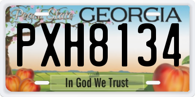 GA license plate PXH8134