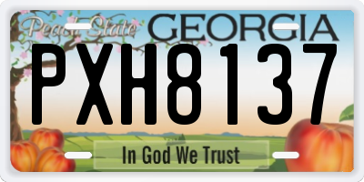 GA license plate PXH8137