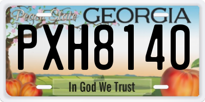 GA license plate PXH8140