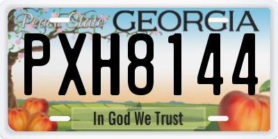 GA license plate PXH8144