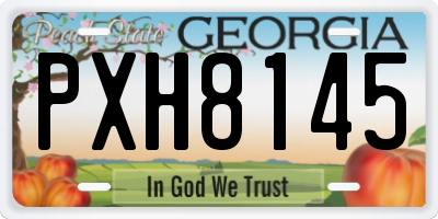 GA license plate PXH8145
