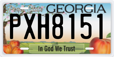 GA license plate PXH8151